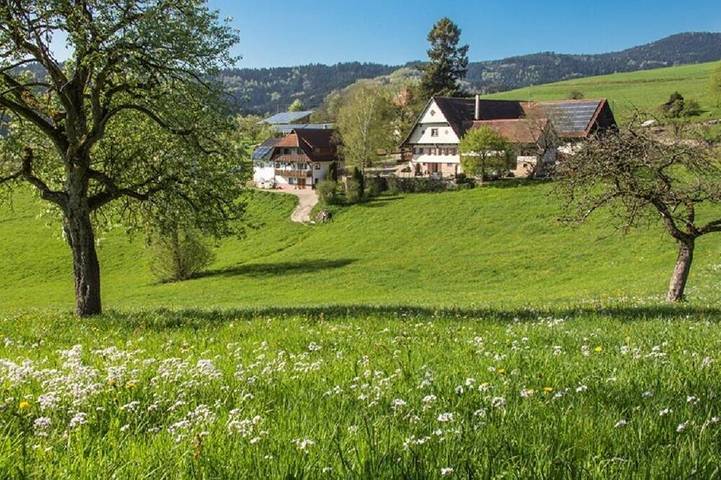 Bauernhof für 30 Personen, mit Garten und Balkon, mit Haustier in Oberharmersbach