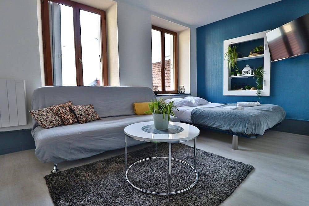 Entire apartment, Studio de 30m² au Centre-ville Deux Étoiles in Montbéliard, Doubs