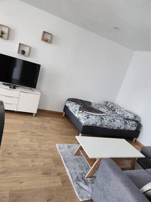 Appartement entier, Joli Studio in Delle, Massif du Jura