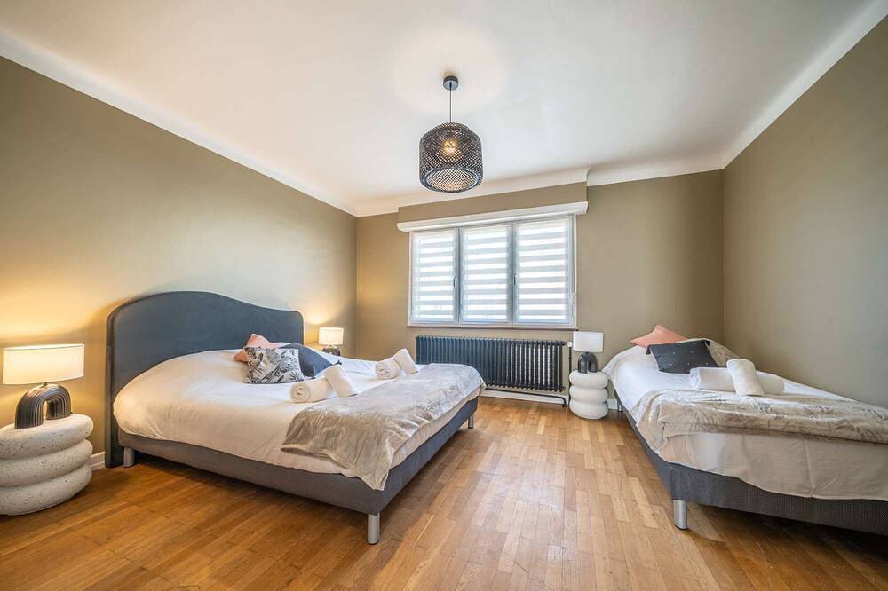 La Maison Royale - Haguenau Garden - 9 people in Haguenau, Nordelsass