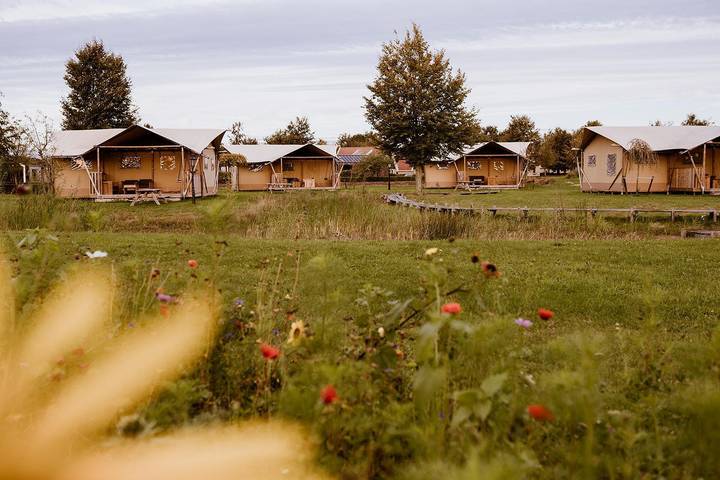 Ferienpark für 5 Personen, mit Garten am Ijsselmeer - 3