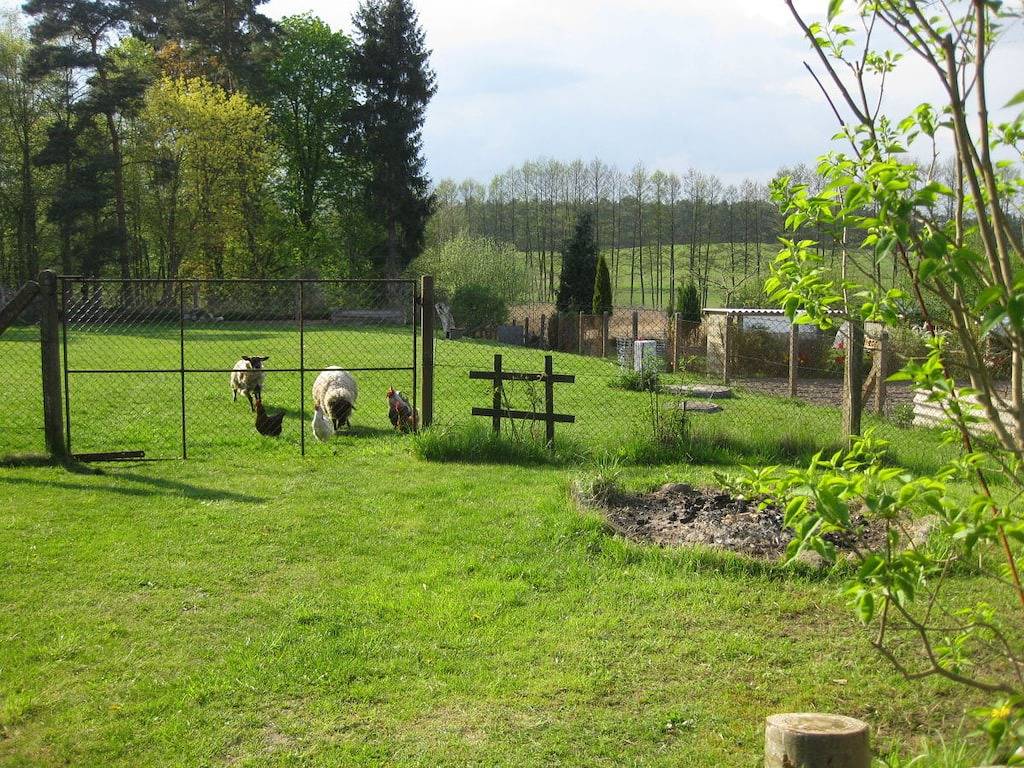 Ferienwohnung mit 2 Schlafzimmer in Carpin, Mecklenburg-Strelitz