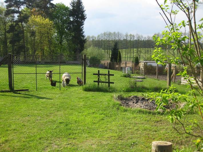 Ferienwohnung mit 2 Schlafzimmer in Carpin, Mecklenburg-Strelitz