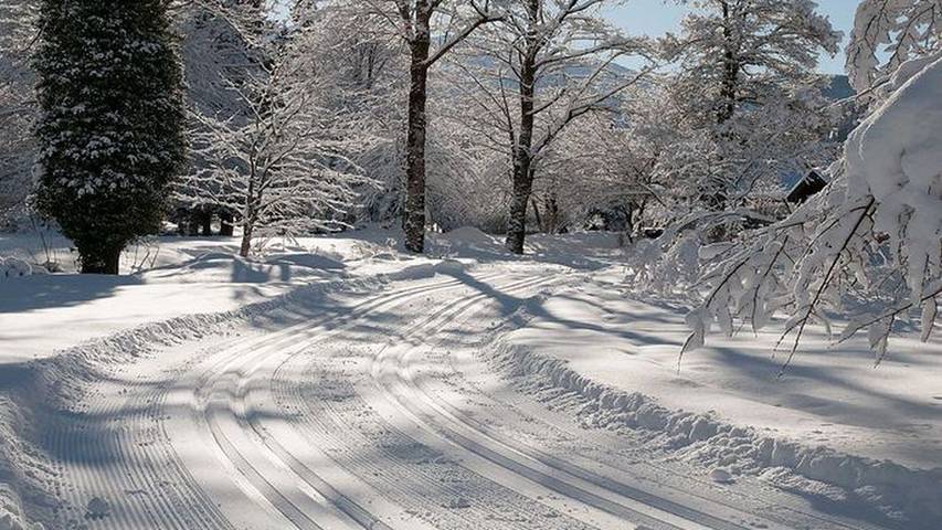 Zimmer für 2 Personen, mit Garten, mit Haustier in Kreuth - 2