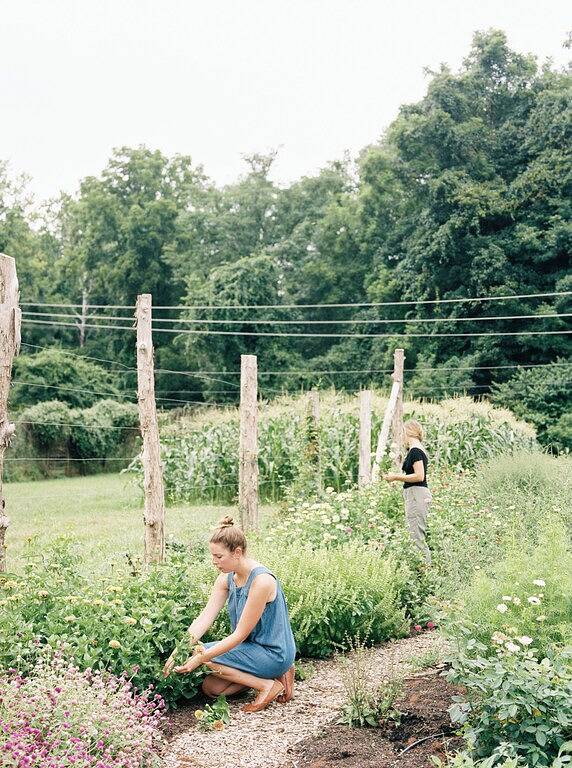 Flower Farm Stay: Wunderschönes Hauptbauernhaus in Lynchburg, Virginia