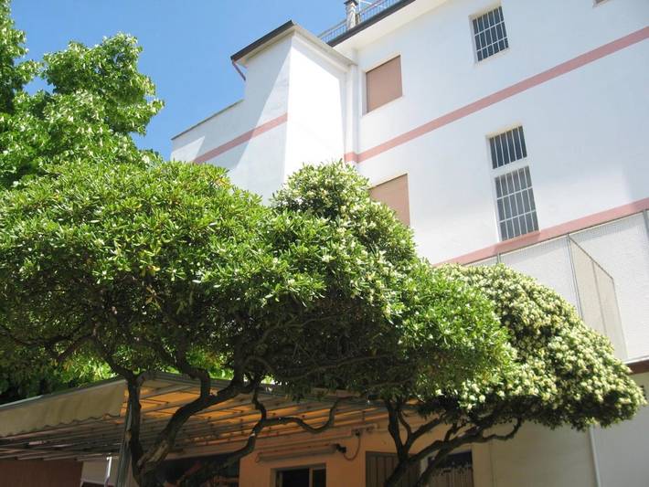 Hôtel pour 3 personnes, avec jardin et terrasse à Rimini - 3