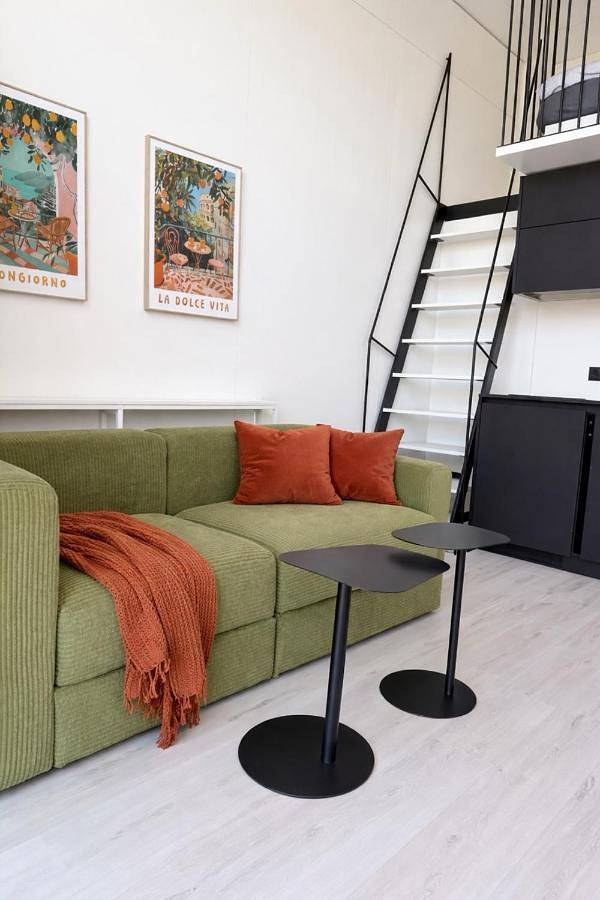 Ferienhaus für 4 Personen, mit Garten und Sauna sowie Whirlpool in Bourtanger Moor - 2