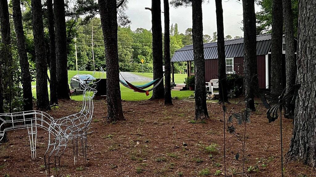 Whispering Pines Cabin near beautiful Lake Ouachita in Lake Ouachita