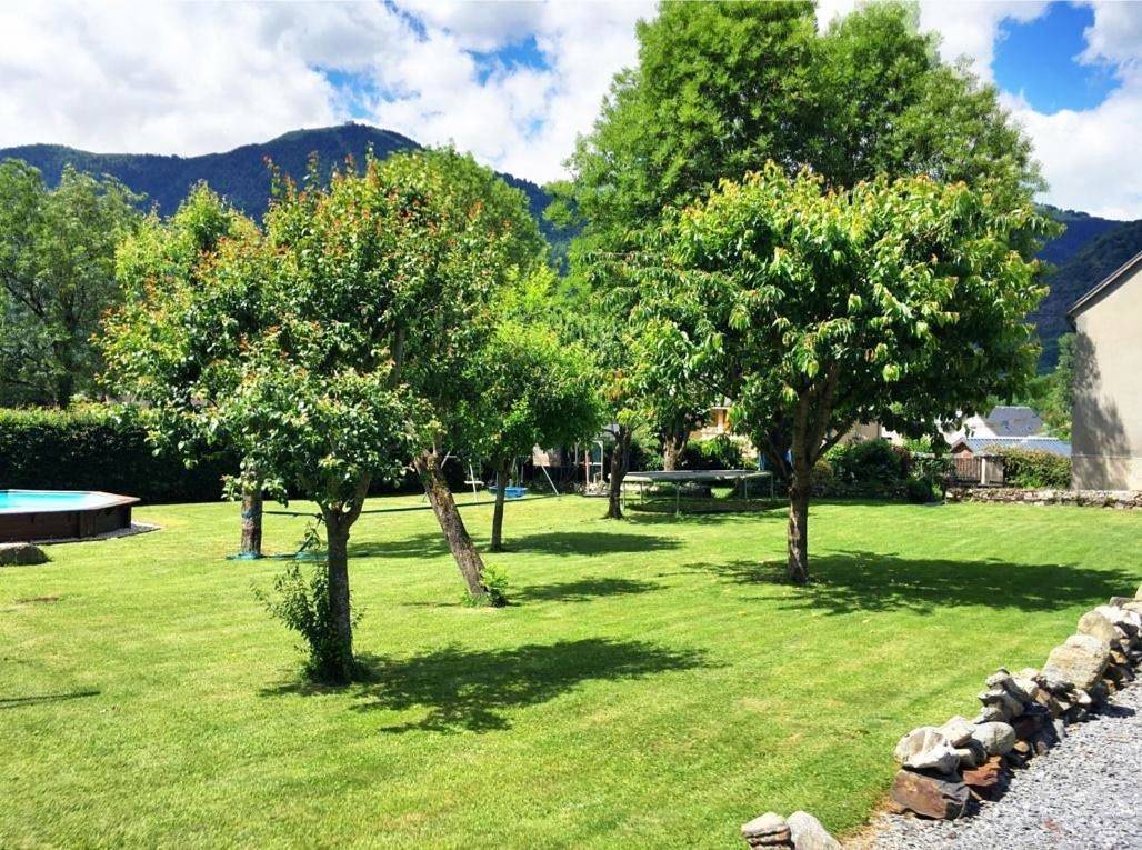 Papilio in Luchon-Superbagnères, Montauban-de-Luchon