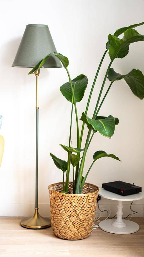 Gîte pour 4 personnes, avec balcon à Orsay - 4