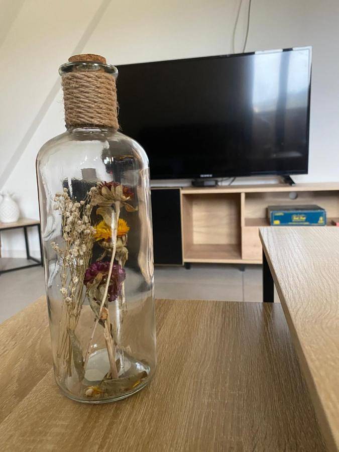 Gîte pour 6 personnes, avec jardin et vue à Thannenkirch - 4