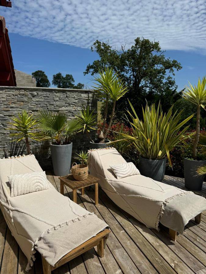 Gîte pour 10 personnes, avec piscine et jardin à Ahetze - 3