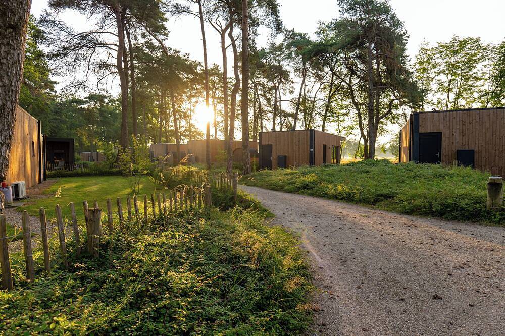 The forest lodge Royal: a 2-person stay in the forested park area. Peace, privacy and a unique nature experience near Winterswijk. in Achterhoek