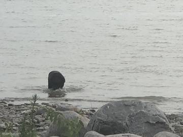 Cottage for 6 Guests in Manitoba, Canada, Picture 4