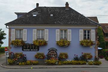 Chambre d’hôte pour 2 personnes, animaux acceptés à Blienschwiller