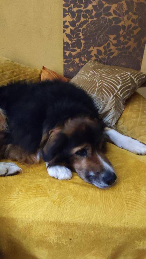 Location de vacances pour 4 personnes, avec jardin, adapté aux familles dans Chignin - 2