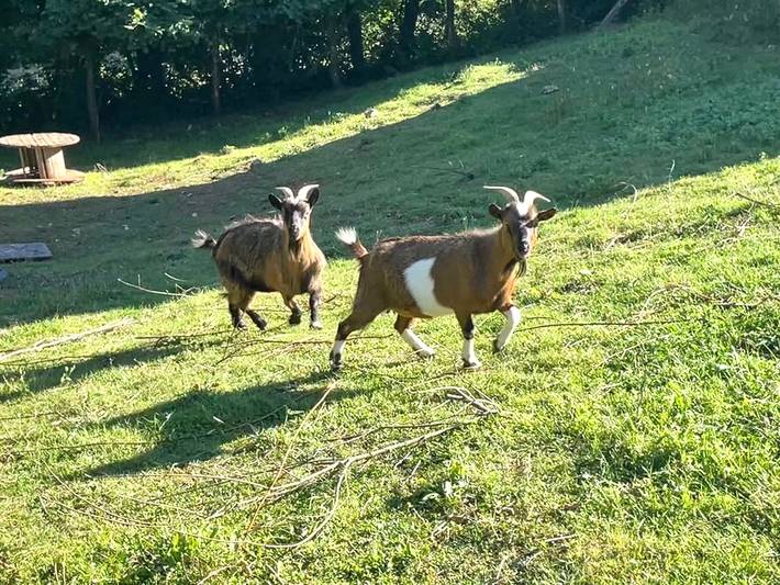 Camping für 5 Personen, mit Balkon und Garten in Midi-Pyrenäen - 3