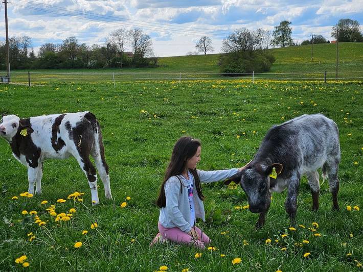 Ferienhaus für 3 Personen, mit Garten und Balkon in Unterallgäu - 4