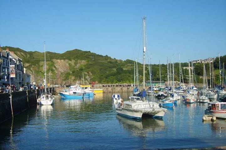 Maison de vacances pour 9 personnes, avec jardin et terrasse, animaux acceptés - 1