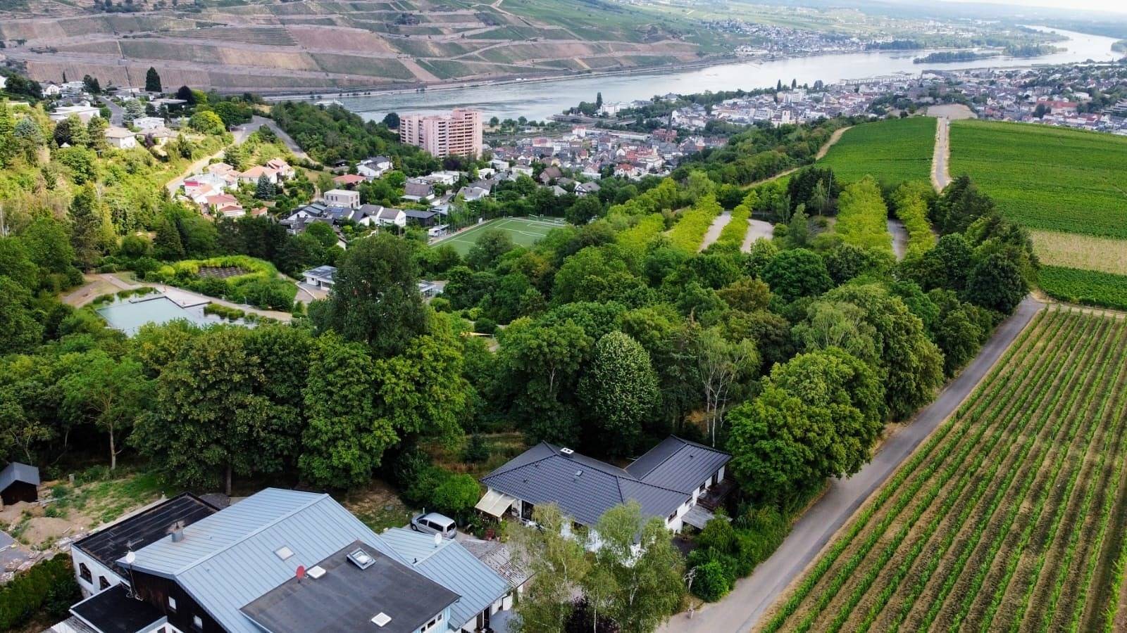 Ganze Ferienwohnung, Birkennest in Weiler bei Bingen, Landkreis Mainz-Bingen