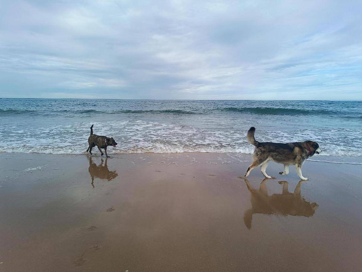 Hostería Señorío De Bizkaia in Urkizaur, Baquio