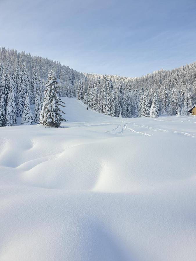 Ganze Wohnung, Ferienhaus Schäfer - Apartments - Wintersports - Family holiday - Holiday with your dog - Rural & Scenic in Flattnitz, Glödnitz