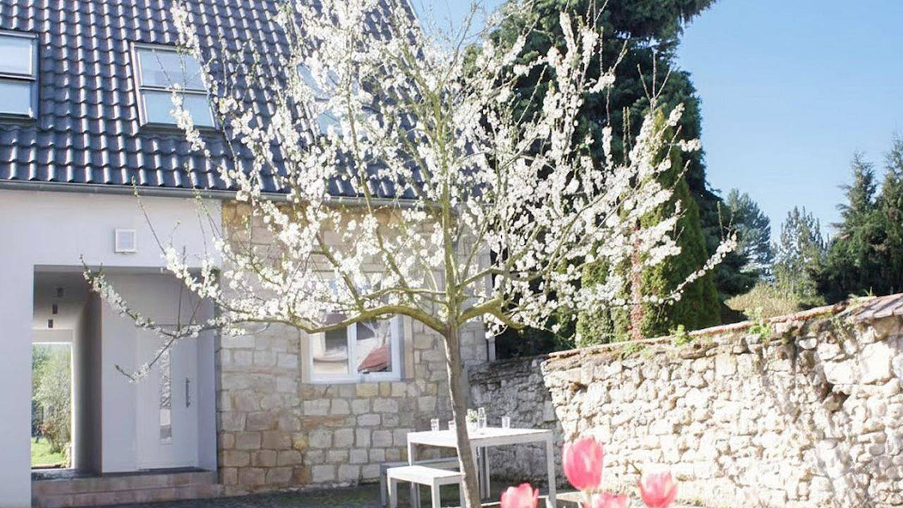 Ferienhaus für 14 Personen (105 m²) in Mainz in Mainz, Rheinhessen