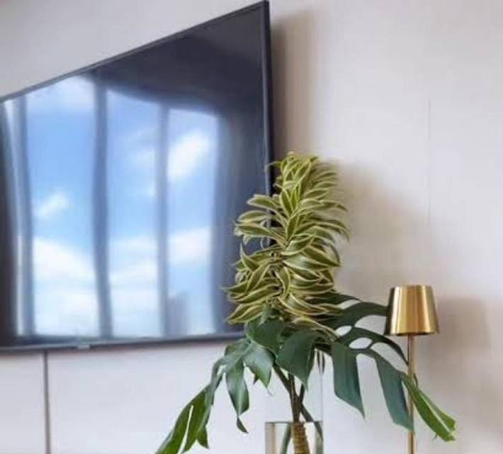 Casas e apartamentos de temporada para 2 pessoas, com jardim em Lucena (PB)