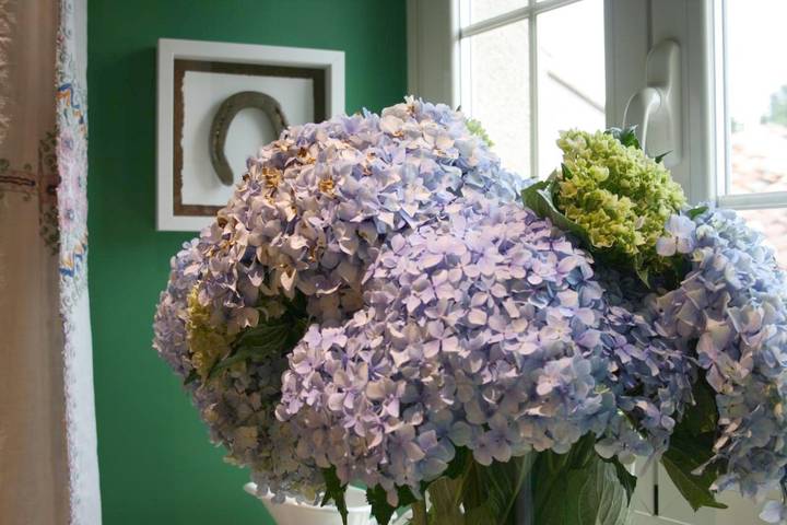Chambre d’hôte pour 2 personnes, avec vue et jardin à Palas de Rei - 4