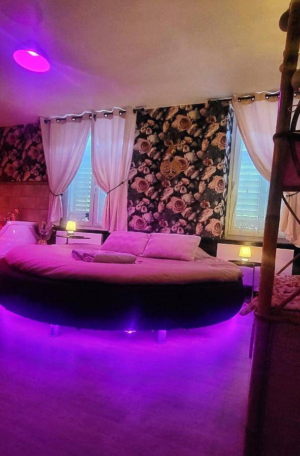 Gîte pour 2 personnes, avec jardin et jacuzzi à Lunéville - 3