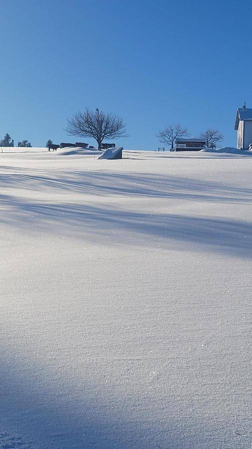 Ferienhaus für 2 Personen, mit Ausblick und Garten in Schöfweg - 3