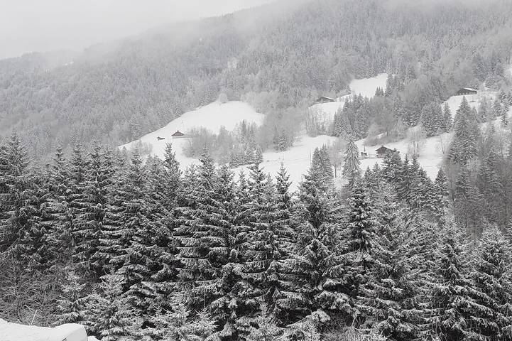 Location de vacances pour 4 personnes, avec balcon à Flumet