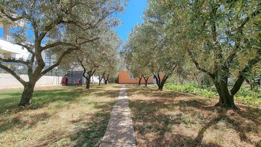Ferienwohnung für 2 Personen, mit Terrasse und Garten, kinderfreundlich in Novigrad - 2