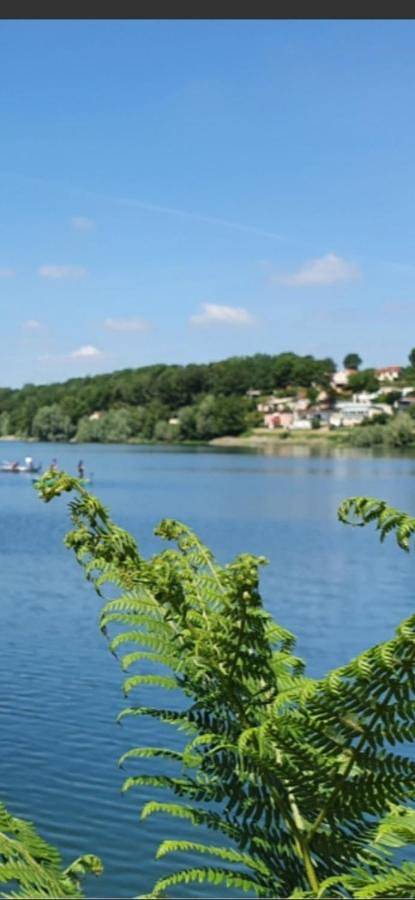 Location de vacances pour 6 personnes, avec Balcon et Terrasse ainsi que Vue sur le lac et Vue dans Lac de Charmes - 3