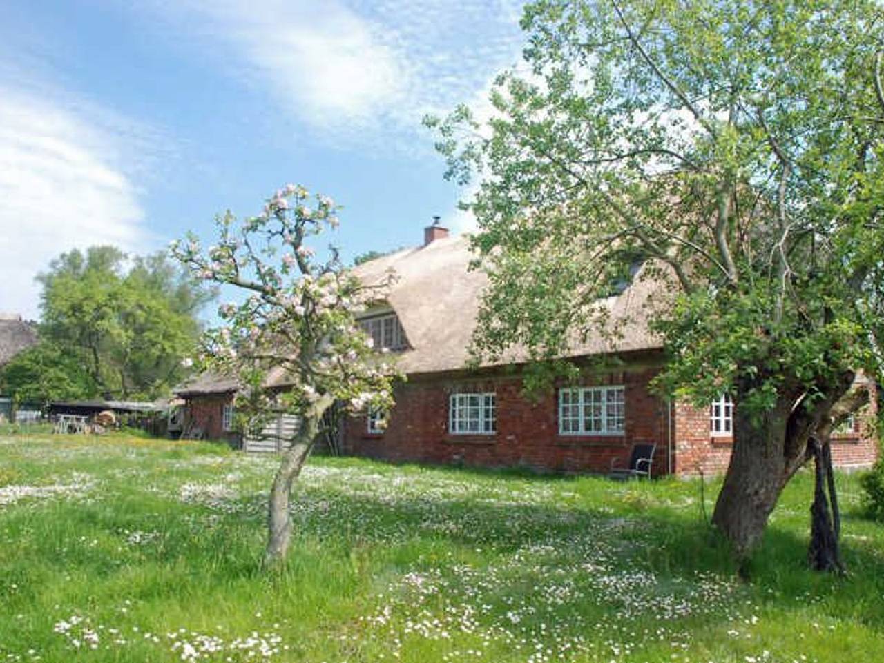 Ferienwohnungen in Groß Zicker auf der Insel Rügen - große Ferienwohnung mit Terrasse und Gartenblick (S) in Groß Zicker, Mönchgut