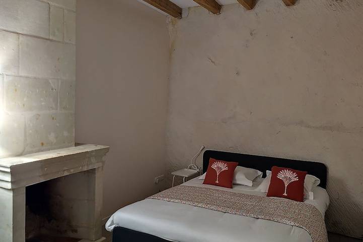 Location de vacances pour 5 personnes à Souzay-Champigny - 3