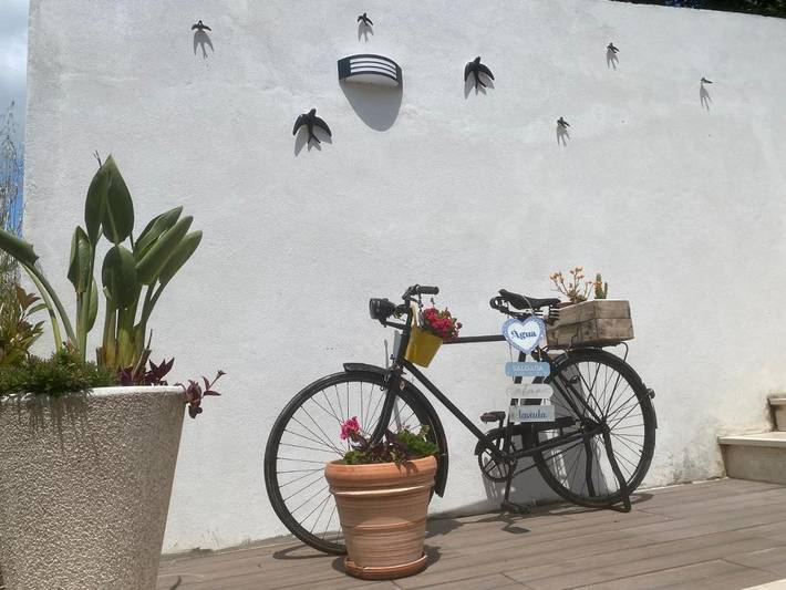 Gîte pour 4 personnes, avec piscine ainsi que jacuzzi et jardin à Coimbra - 4