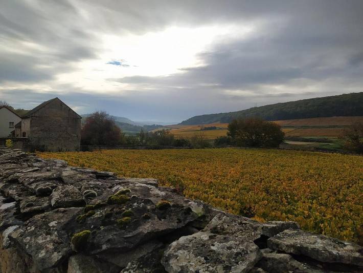 Location de vacances pour 8 personnes, avec jardin et vue, animaux acceptés à Rully - 2
