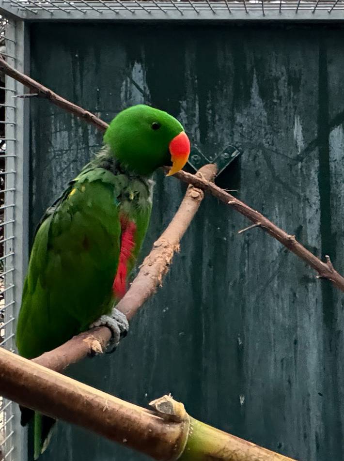 Gîte pour 5 personnes, avec piscine, adapté aux familles en Algarve - 3