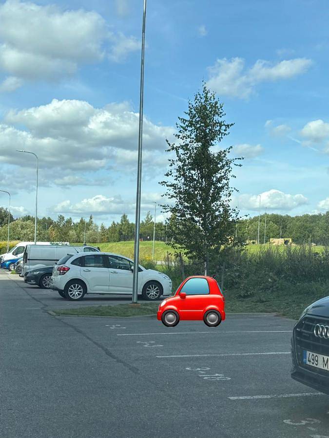 Gîte pour 4 personnes, avec jardin et vue, animaux acceptés à Tartu - 2