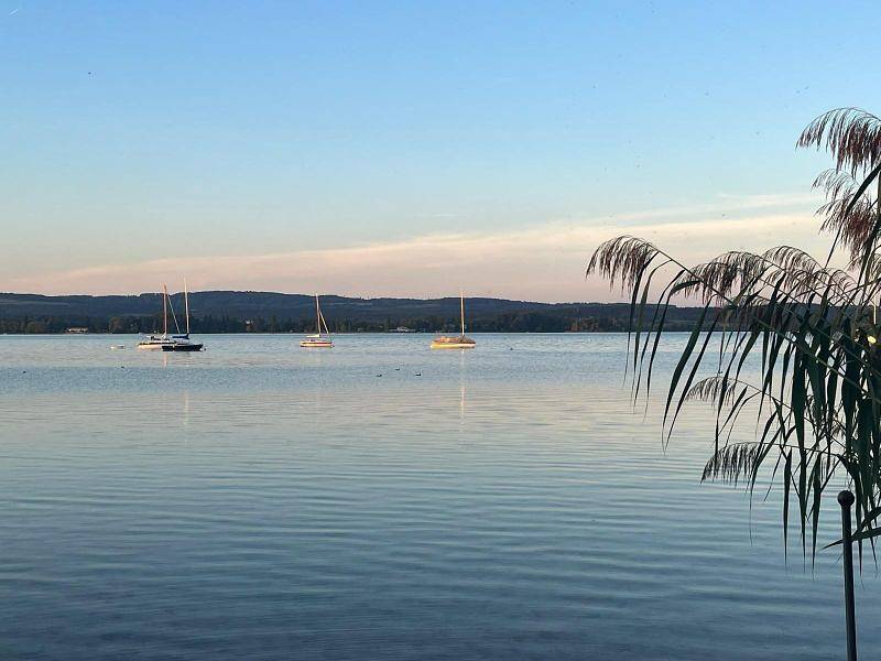 Ferienhaus am Bodensee - 5 1/2 Zimmer Ferienhaus am See, Terrasse, 165 qm in Gaienhofen, Untersee