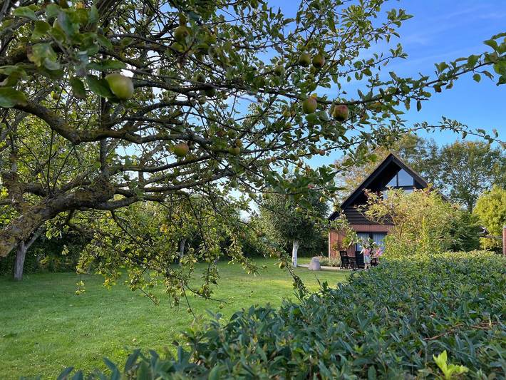 Ferienhaus für 5 Personen, mit Terrasse und Garten in Westermarkelsdorf - 2