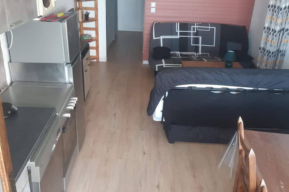 Entire apartment, A Louer Studio aux Pieds des Pistes aux Monts D'olmes, 4/5 Personnes in Les Monts d'Olmes, Montferrier