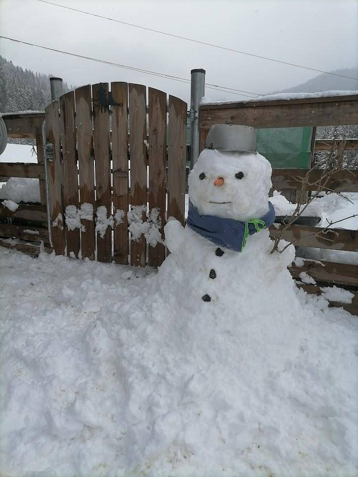 Geheel vakantieappartement, Appartement, douche of bad in Pinzgau