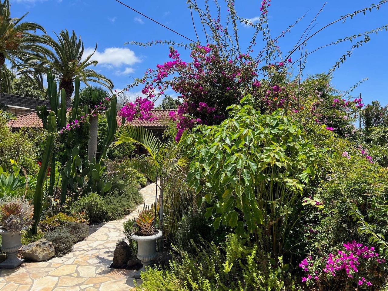 Casa Jardin Tropical in Tajuya, Los Llanos de Aridane