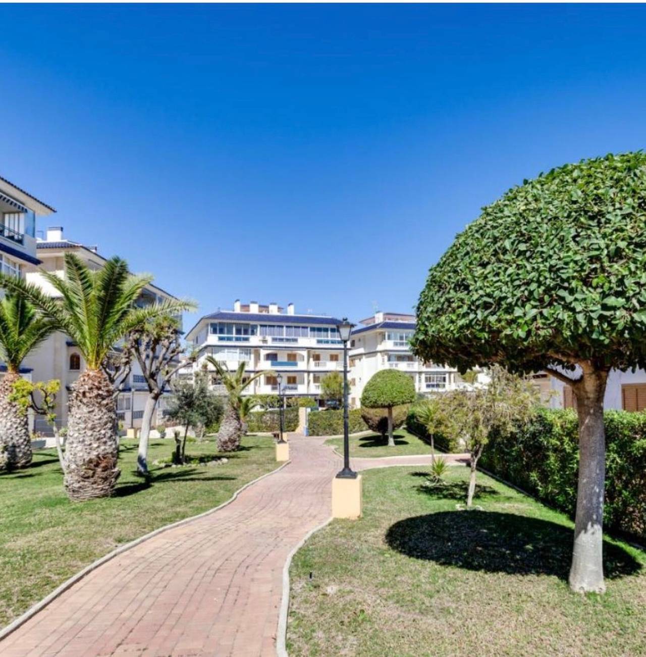 Hel lägenhet, Lägenhet för 4 Personer med trädgård in Torrevieja, Costa Blanca