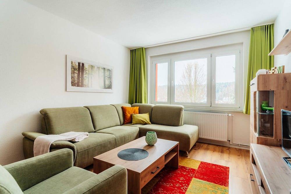 Ganze Wohnung, Apartment Kategorie 2 - Bode-Apartments in Elend, Harzvorland