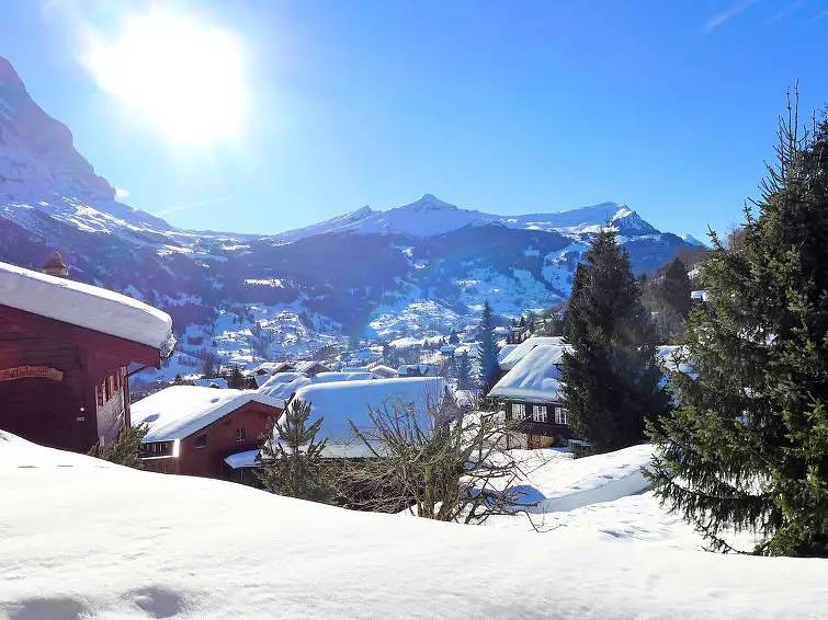 Appartement entier, 1 Pièce 2 Personnes in Grindelwald, Région de Grindelwald