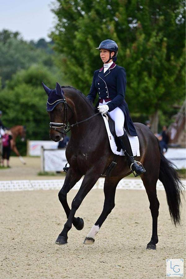 Gîte pour 3 personnes, avec vue, animaux acceptés dans Plage de Puys - 3