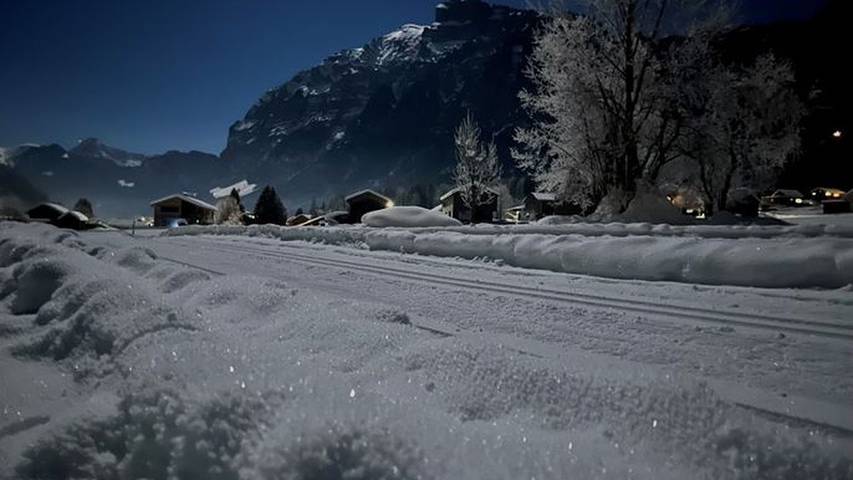 Bauernhof für 6 Personen, mit Garten im Bregenzerwald - 4